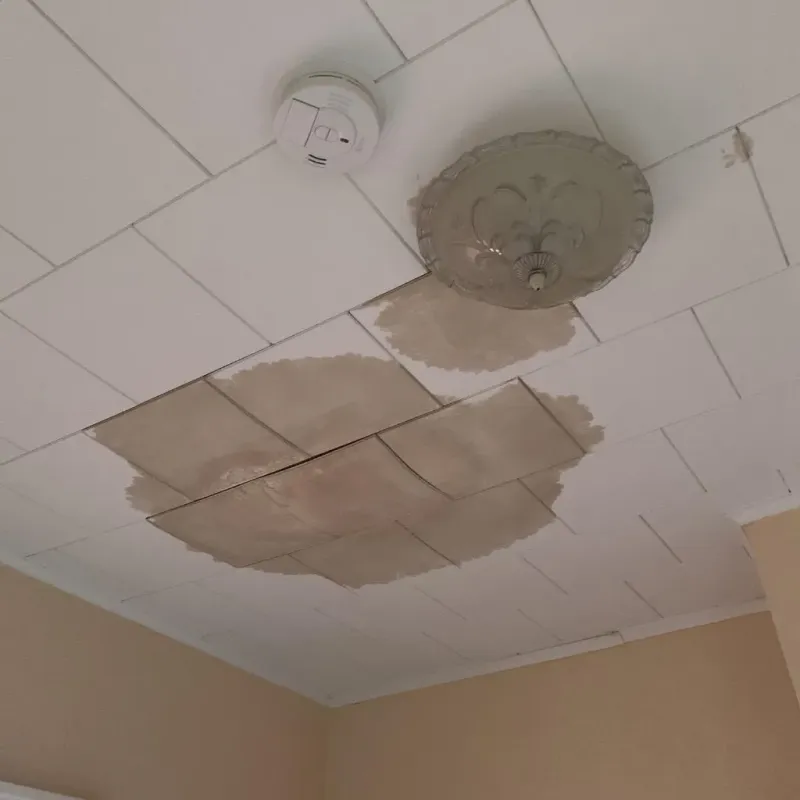Ceiling Water Damage Repair in Richfield, WI