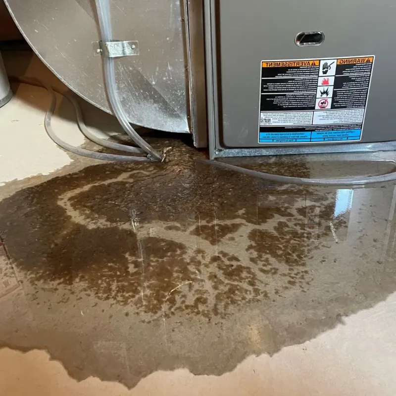 Pipe Burst and Leak Restoration in Richfield, WI